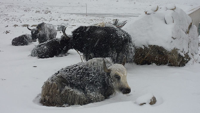10 сильнейших снегопадов в истории 10 сильнейших снегопадов в истории