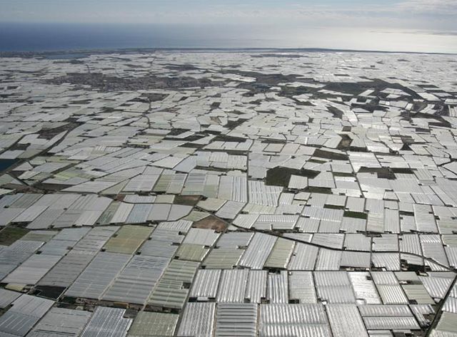 Тепличная Испания