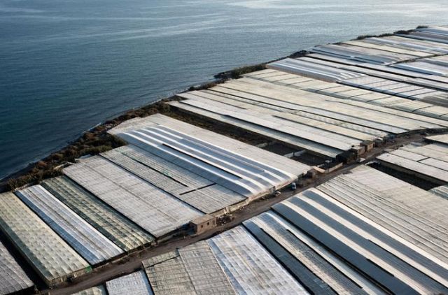 Тепличная Испания