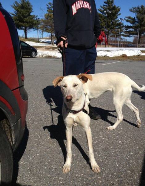 Фото, на которые следует смотреть дважды