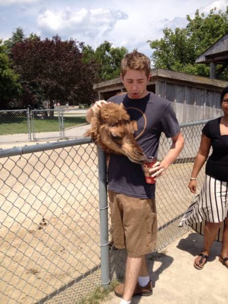 Фото, на которые следует смотреть дважды