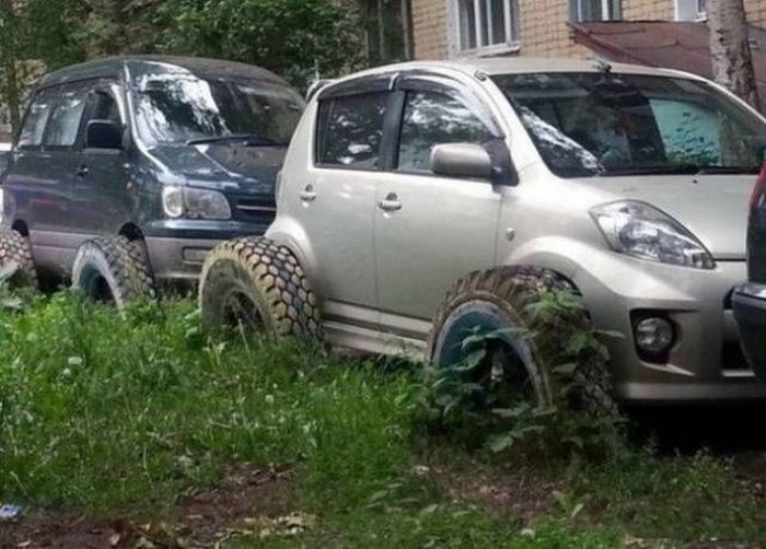 Фото, на которые следует смотреть дважды