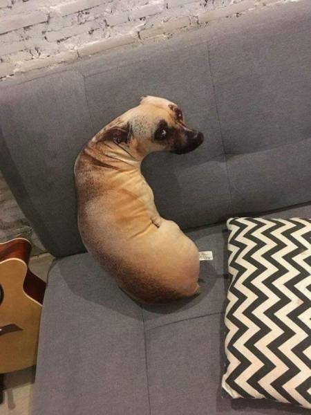 Фото, на которые следует смотреть дважды