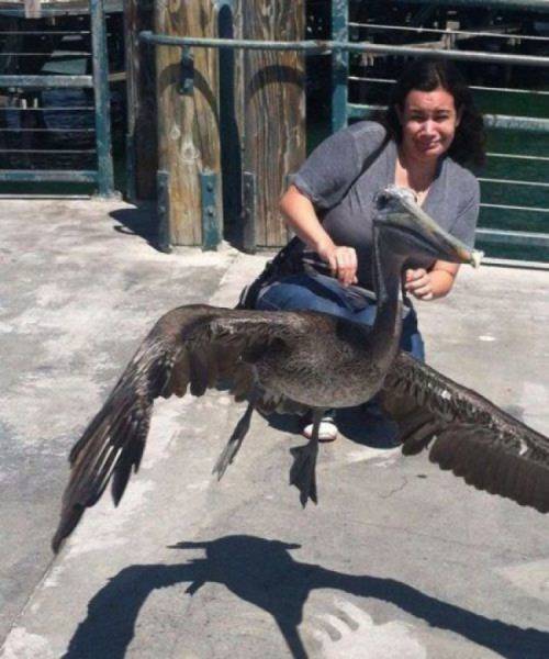 Фото, на которые следует смотреть дважды