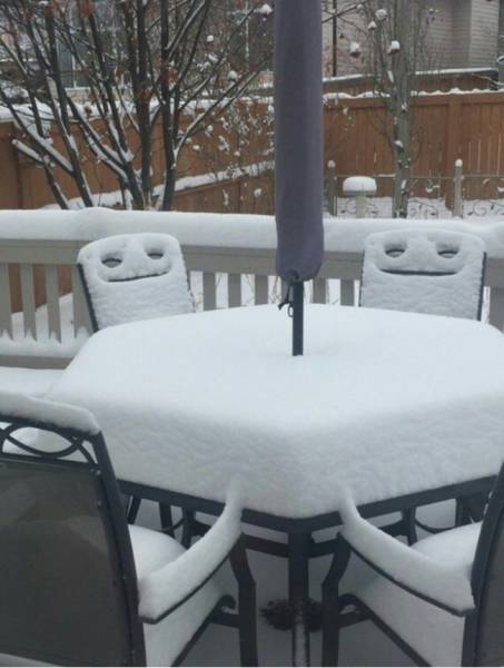 Фото, на которые следует смотреть дважды