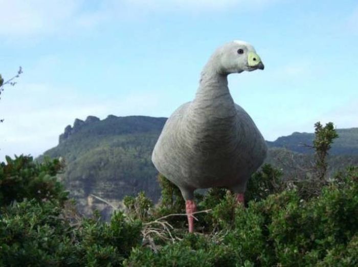 Фото, на которые следует смотреть дважды