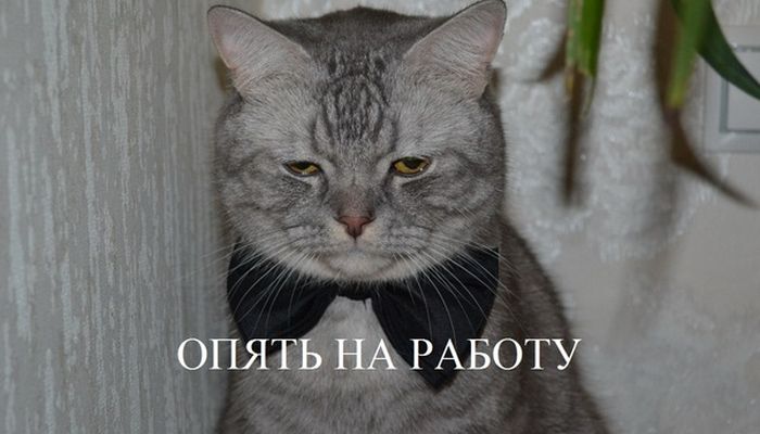 Когда долгие выходные подходят к концу