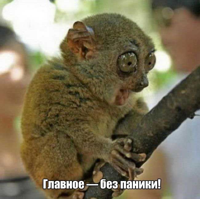 Когда долгие выходные подходят к концу