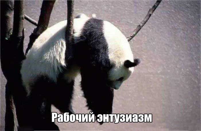 Когда долгие выходные подходят к концу