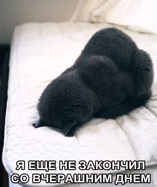 Когда долгие выходные подходят к концу