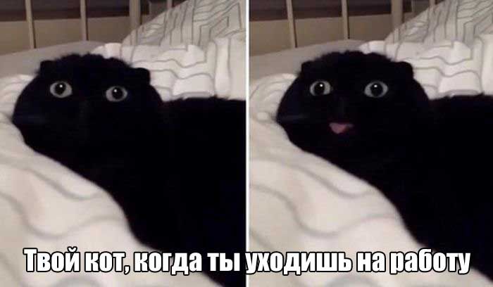 Когда долгие выходные подходят к концу