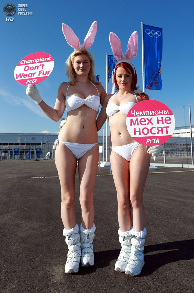 В ожидании начала XXII Олимпийских зимних игр В ожидании начала XXII Олимпийских зимних игр