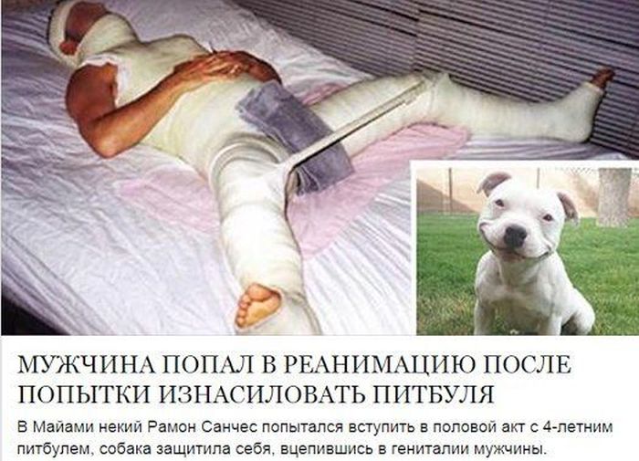 Подборка смешных заголовка из газет, журналов и интернет-изданий