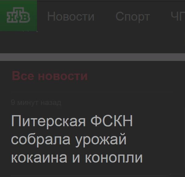 Подборка смешных заголовка из газет, журналов и интернет-изданий