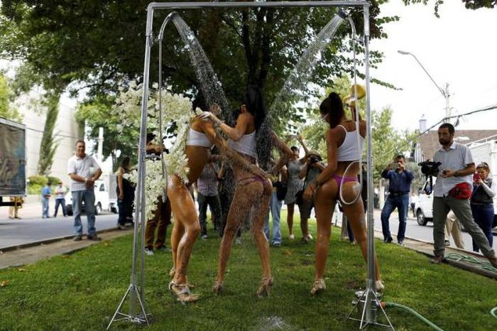 Забавные девушки