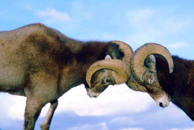 Интуиция, которую нельзя игнорировать Интуиция, которую нельзя игнорировать