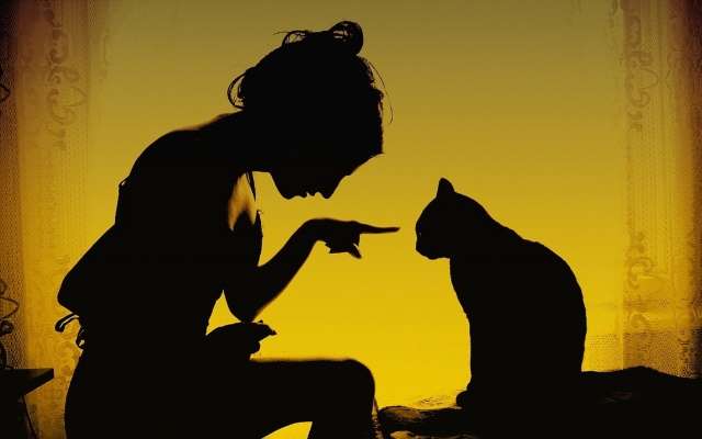 Интуиция, которую нельзя игнорировать Интуиция, которую нельзя игнорировать