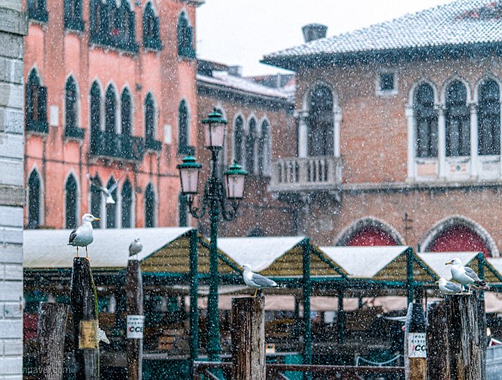 Снежная Венеция. Часть 2