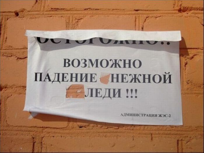 Народные маразмы