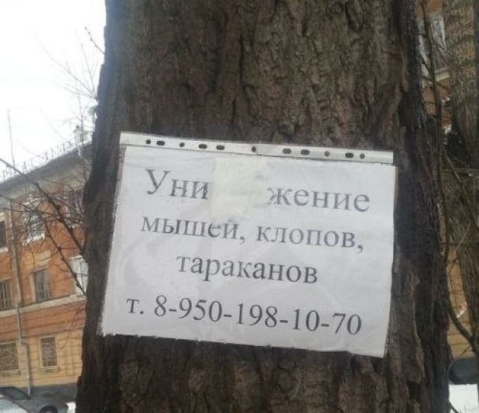 Народные маразмы