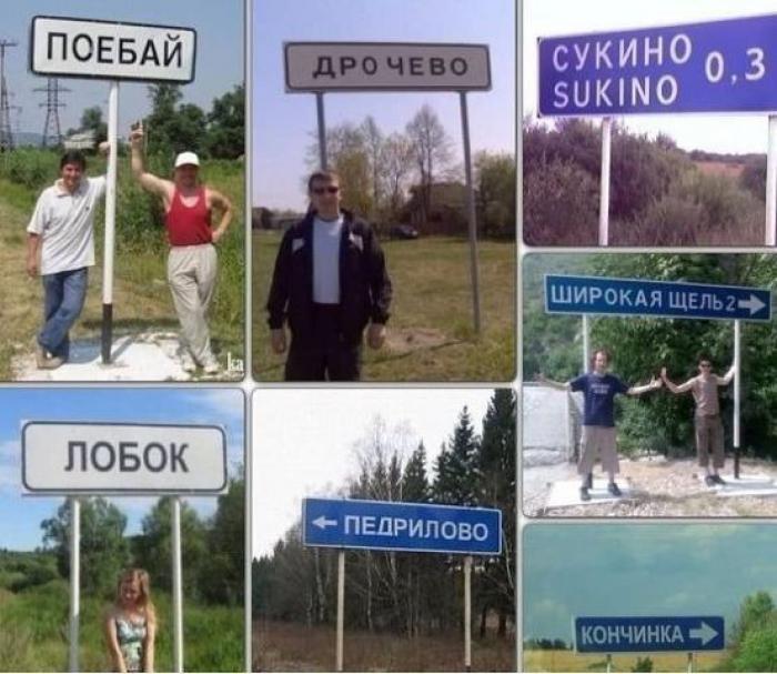 Прикольные картинки