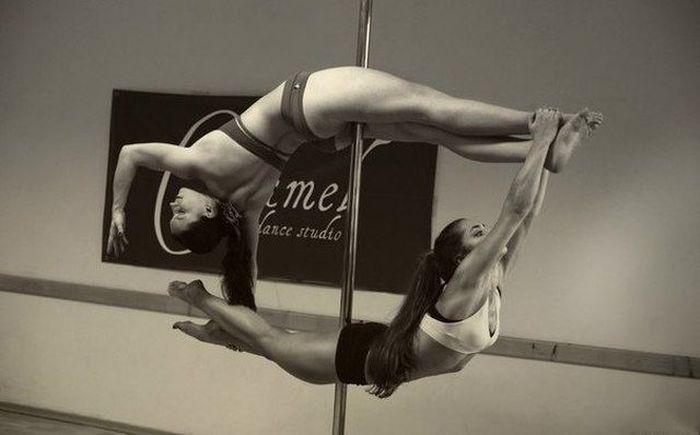 Прикольные картинки