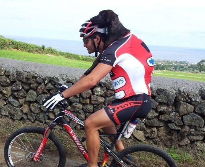 Прикольные картинки