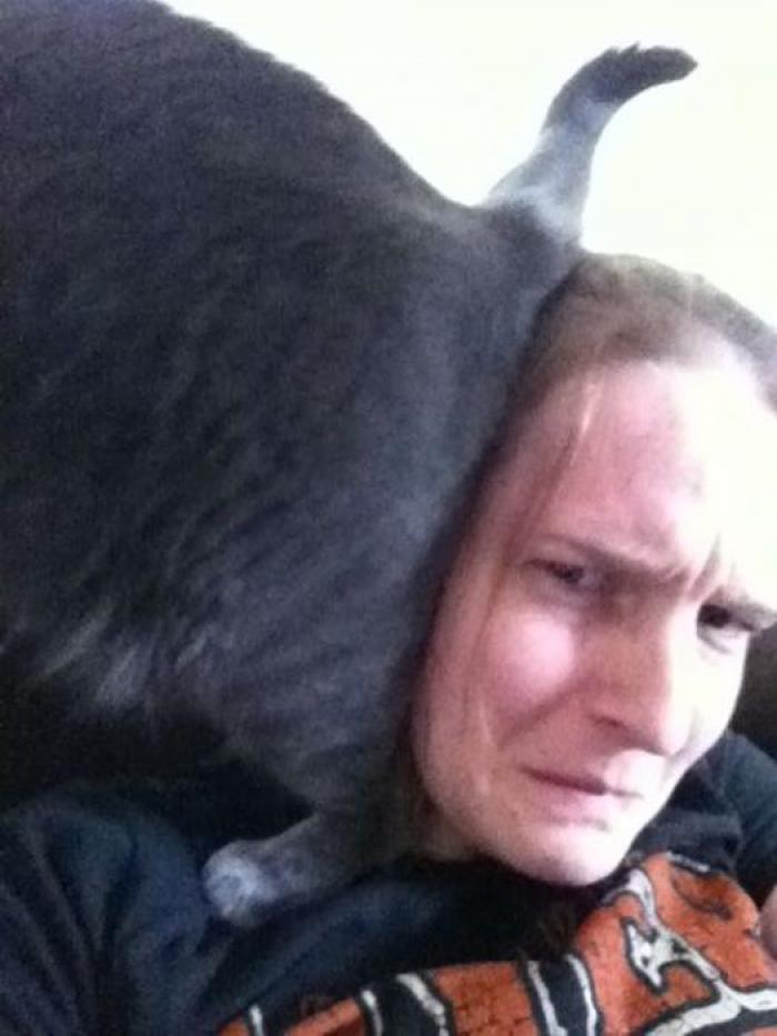 Прикольные картинки