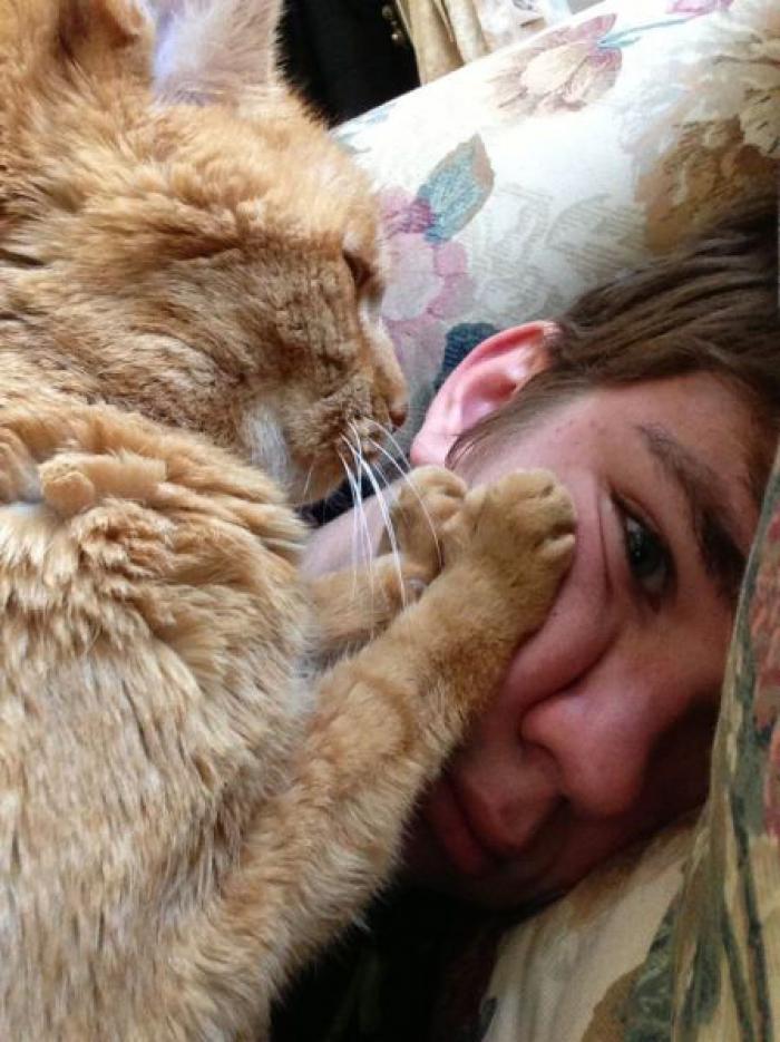 Прикольные картинки