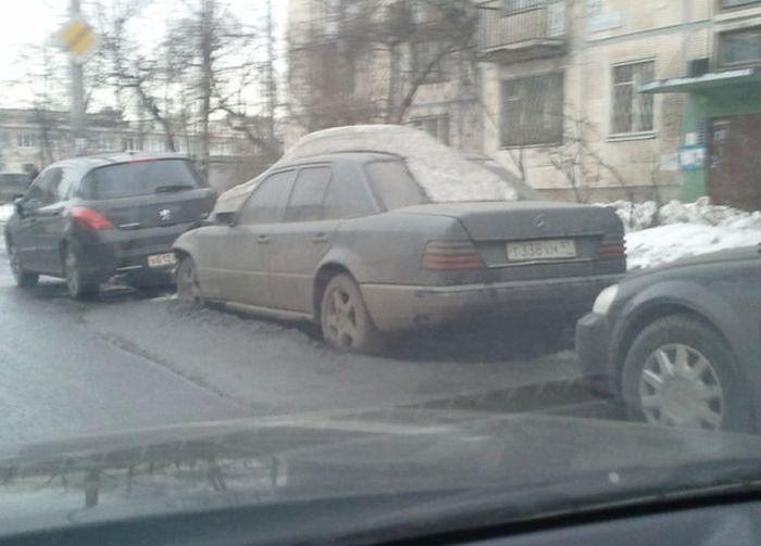 Прикольные картинки