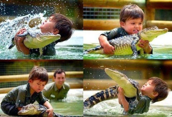 Прикольные картинки