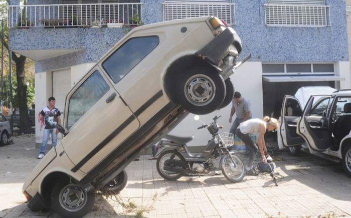 Прикольные картинки