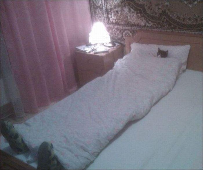 Прикольные картинки