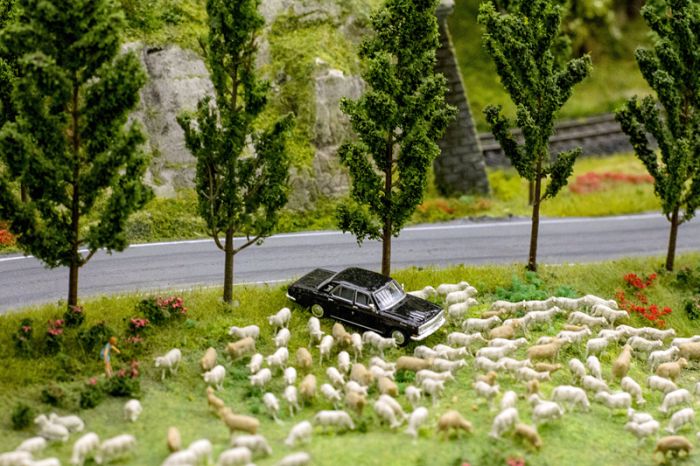 Макет России (24 фото)