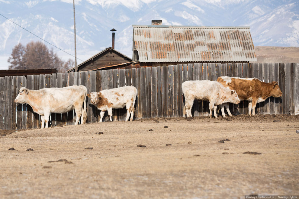 Пейзажи Ольхона