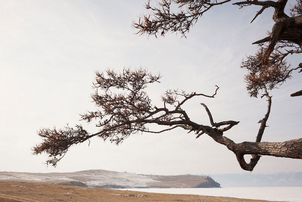 Пейзажи Ольхона