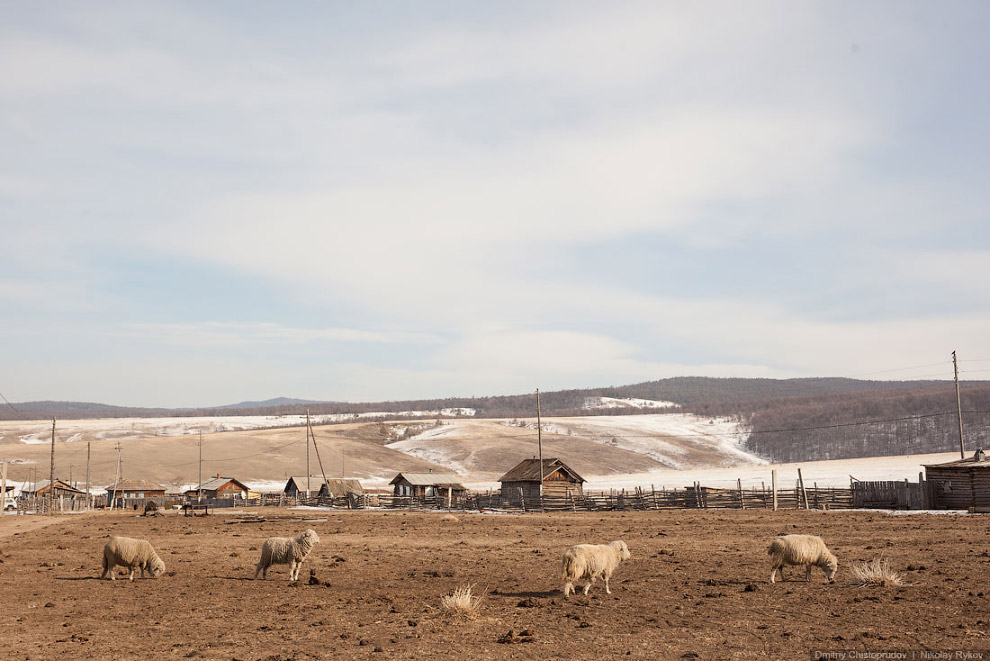 Пейзажи Ольхона