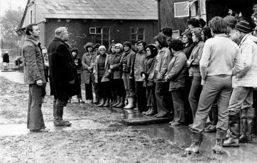 Все на картошку! (39 фото)