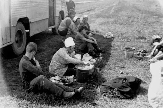 Все на картошку! (39 фото)