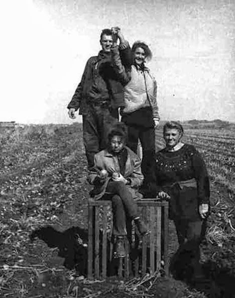 Все на картошку! (39 фото)