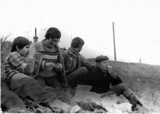 Все на картошку! (39 фото)