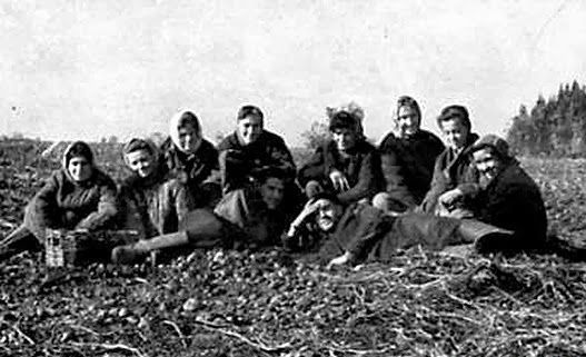 Все на картошку! (39 фото)