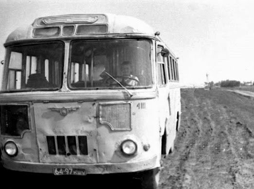 Все на картошку! (39 фото)