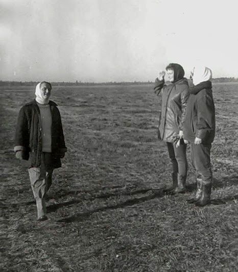 Все на картошку! (39 фото)