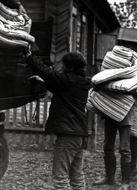 Все на картошку! (39 фото)