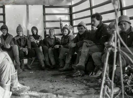 Все на картошку! (39 фото)