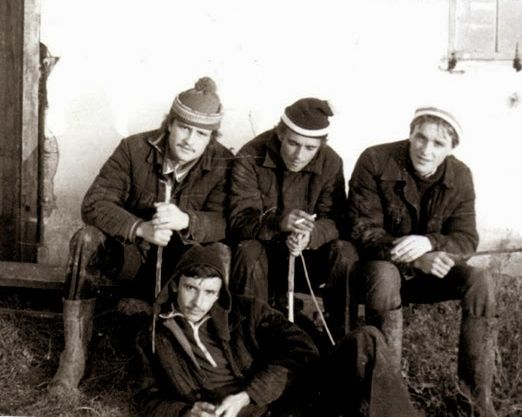 Все на картошку! (39 фото)