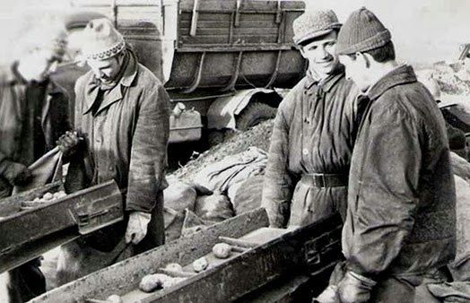 Все на картошку! (39 фото)