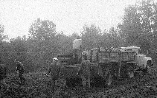 Все на картошку! (39 фото)