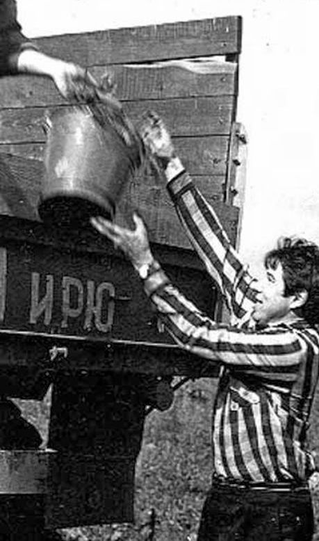 Все на картошку! (39 фото)